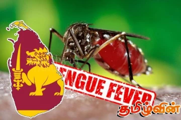 இலங்கையில் அதிகரித்து வரும் டெங்கு நோயாளர்களின் எண்ணிக்கை!