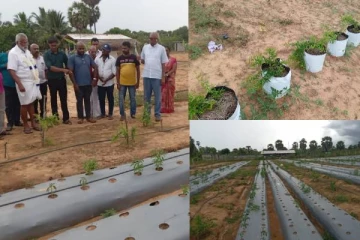 இத்தாவில் மாதுளைச் செய்கை தோட்டத்திற்கு அமைச்சர் டக்ளஸ் விஜயம்: விவசாயிகளுடன் கலந்துரையாடல்!