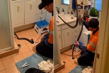 அடிக்கடி குளியலறையில் தண்ணீர் தேங்கும் மர்மம்: கண்டுபிடிக்க முயன்றபோது தெரியவந்த அதிரவைத்த உண்மை