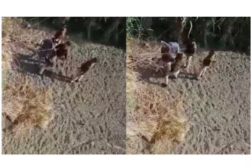 நபர் ஒருவரை கொடூரமாக அடித்தே கொலை செய்த உ.பி. போலீசார் - பதற வைக்கும் அதிர்ச்சி வீடியோ வைரல்..!