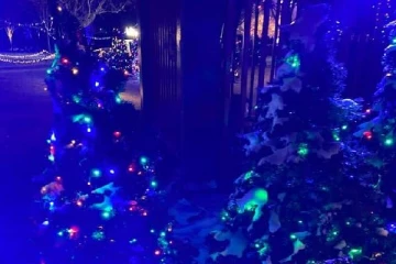 கிறிஸ்துமஸ், புத்தாண்டு கொண்டாட்டத்தை ரத்து செய்யுங்கள்!