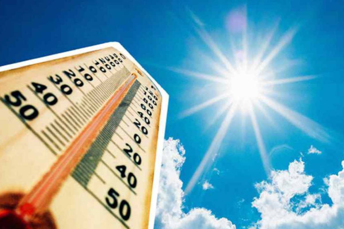 நுவரெலியாவில் உச்சம் தொடும் வறட்சி: விடுக்கப்பட்டுள்ள கோரிக்கை | Drought Reaches Its Peak In Nuwara Eliya Heat