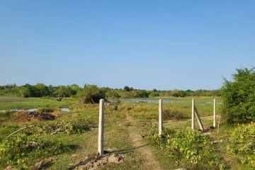 தனியார் மயமாக்கப்படும் பொதுக்குளம் - நடவடிக்கை எடுக்கத் தவறிய திணைக்களம்! (படங்கள்)