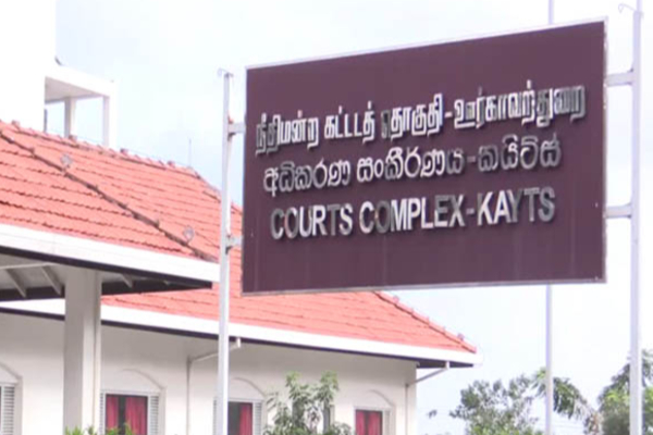 இந்தியாவிலிருந்து கடத்தப்பட்ட விலை உயர்ந்த புறாக்களுடன் நெடுந்தீவில் மூவர் கைது! | 3 Arrested In Delft With Expensive Pigeons