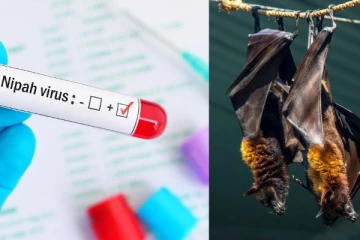2 பேரை பலி கொண்ட நிபா வைரஸ் - இந்த மாவட்டங்களுக்கெல்லாம் உச்சக்கட்ட எச்சரிக்கை!