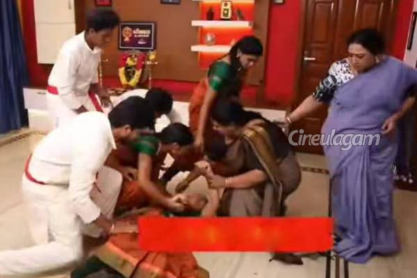 விஜயாவை வெறிக்கொண்டு அடிக்க வந்த பெண், மீனா செய்த காரியம்.. சிறகடிக்க ஆசை சீரியல் பரபரப்பு கதைக்களம் | Siragadikka Aasai Serial Next Week Promo