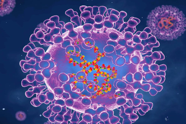உடல்  உறவால் அதிகம் பரவும் குரங்கு அம்மை : வெளியான அதிர்ச்சி தகவல் | Monkeypox Spreading Through Sexual Transmissions