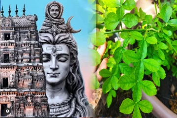 நினைத்த காரியம் நிறைவேற திங்கட்கிழமை வில்வ வழிபாடு