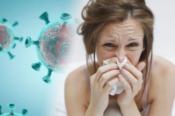 மூக்கு ஒழுகுதல், தும்மல், சளி பிரச்சனையை தீர்க்க முடியவில்லையா?