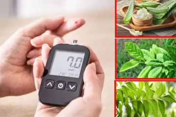 இந்த 3 இலை இருந்தால் போதும்... நீரிழிவு நோய் சர்ருனு குறைந்திடும்