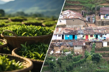 இலங்கையில் இன்னும் அவல நிலையில் இந்திய வம்சாவளியைச் சேர்ந்த தமிழர்கள்!