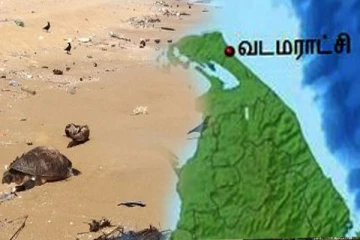 வடமராட்சி கடற்பரப்பில் இறந்த நிலையில் கரையொதுங்கும் ஆமைகள்