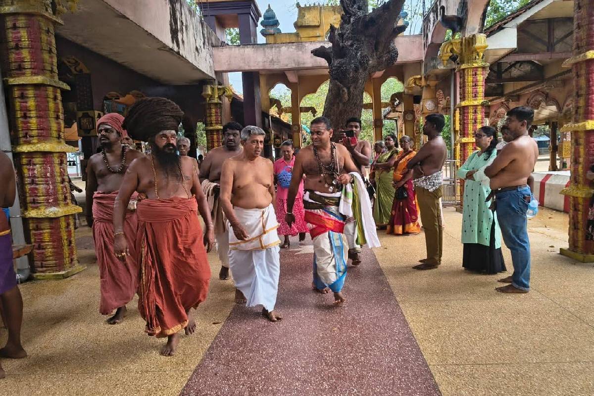 யாழில் புதிய மாற்றம் ; இந்தியாவிலிருந்து யாழ் வரை சைவ பட்டப்படிப்புகள் ஆரம்பம் | New Change In Jaffna Saiva Degree Courses India