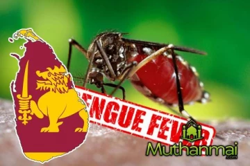 இலங்கையில் டெங்கு நோயாளர்களின் எண்ணிக்கை அதிகரிப்பு