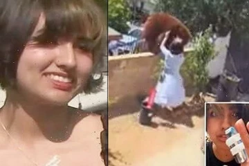 வெறுங்கையுடன் கரடியுடன் போராடிய இளம்பெண்... உயிர் தப்பியது அதிர்ஷ்டம் என்கிறார் வனத்துறை நிபுணர்