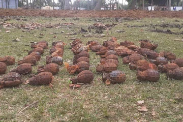 ඉඩමක් සී සාන අවස්ථාවකදී කවුරුත් බිය වද්දමින් පොළවෙන් මතුවූ දේ