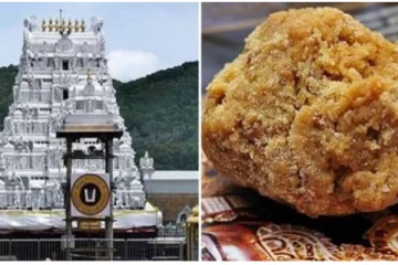 திருப்பதி லட்டு விவகாரம் - மாட்டு கொழுப்பு நெய் தமிழ்நாட்டில் இருந்து சென்றதா?