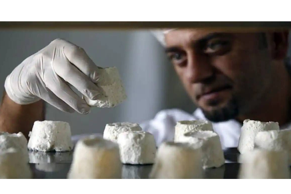 அட என்னது ஒரு கிலோ பன்னீர் 85 ஆயிரமா? உலகிலேயே இந்த வகை பன்னீருக்கு தான் மவுசு அதிகமாம்! | Worlds Expensive Cheese Known Pule Donkeys Milk