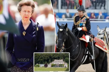 மருத்துவமனையில் அனுமதிக்கப்பட்ட இளவரசி ஆன்