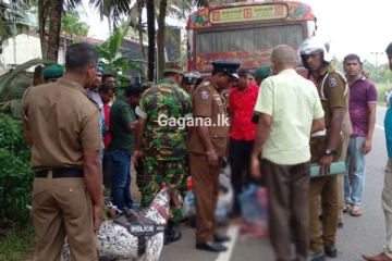 ලංගම බසයකින් කිලෝ 100ක් අල්ලයි - කවුරුත් පුදුම කළ සිදුවීම..