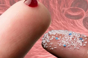 முதன்முறையாக மனித இரத்தத்தில் காணப்பட்ட பிளாஸ்டிக்! விஞ்ஞானிகள் எச்சரிக்கை