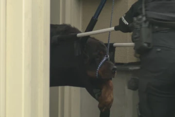 வளர்த்தவரையே கடித்துக்குதறிய நாய்... கனடாவில் ஒரு பயங்கர சம்பவம்