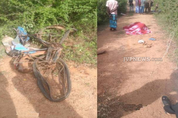 வவுனியாவில் யானையால் முதியவர் ஒருவருக்கு நேர்ந்த துயரம்! | Vavuniya Elephant Attack Old Man Death