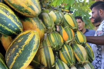 யாழில் 120 ரூபாவில் இருந்து 300 ரூபாவிற்கு எகிறிய பழத்தின் விலை!