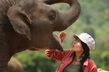 பாகனை இரண்டாகக் கிழித்த யானை!