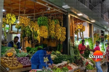 හෙට මුළු නුවරඑළියටම එළවළු, අත්‍යවශ්‍ය බඩු නැති වෙයි - කවදාවත් වෙච්චි නැති දෙයක්