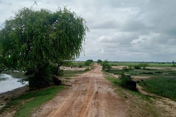 பச்சைப்புல்மோட்டை மாவீரர் துயிலும் இல்லத்தில் மறக்கப்பட்ட மாவீரர் நாள் நிகழ்வுகள் (படங்கள்) | Forgotten Ltte Leaders Pachipulmottai