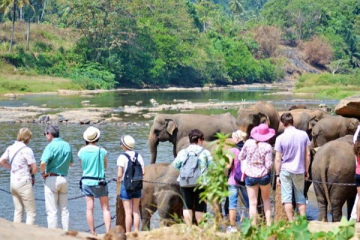 உலகில் சுற்றுலாப் பயணங்கள்! இலங்கை கிடைத்த இடம்