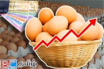 முட்டை விலை அதிகரிப்பு குறித்து எழுந்துள்ள சர்ச்சை