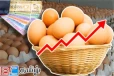 முட்டை விலை அதிகரிப்பு குறித்து எழுந்துள்ள சர்ச்சை