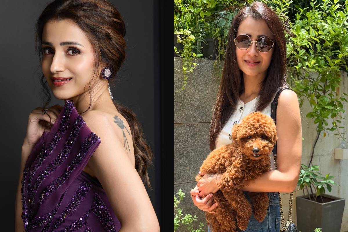 நாயை கோவிலுல்லுள் அழைத்துச் சென்றாரா நடிகை திரிஷா..சர்ச்சையான பதிவு.. | Trisha Krishnan Visits Temple With Pet Dog Spark