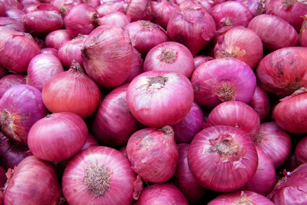 பெரிய வெங்காய கொள்முதல் திட்டம் ஆரம்பம் : விவசாய அமைச்சு அறிவிப்பு | Agriculture Min Launches Onion Procurement Program பெரிய வெங்காய கொள்முதல் திட்டம் ஆரம்பம் : விவசாய அமைச்சு அறிவிப்பு | Agriculture Min Launches Onion Procurement Program