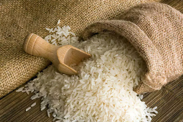 India allow rice export to Singapore, India Singapore, Special Relationship, Singapore India, Rice Export Ban, India Rice Export, India Singapore Relationship, Rice Export to Singapore
