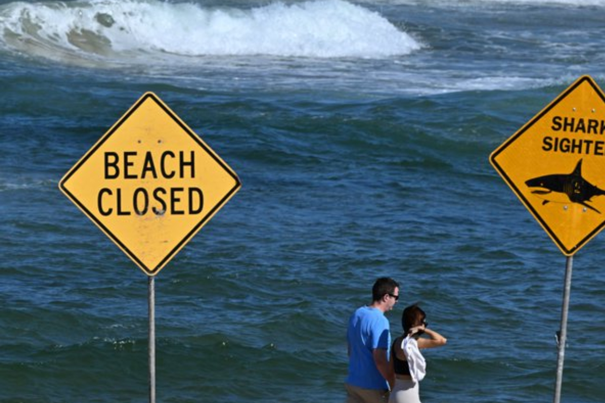 அவுஸ்திரேலியாவில் சுறா தாக்கி ஒருவர் பலி | One Person Dies In Shark Attack In Australia
