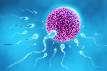 சிறுமியின் கருமுட்டைகள் விற்பனை - 2 மருத்துவமனைக்கு நோட்டீஸ்!