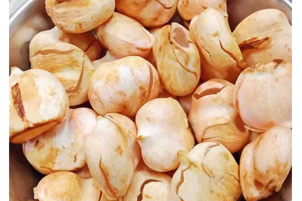 நீரிழிவு மற்றும் பல நோய்களை குணமாக்கும் நுங்கு! எந்த நேரத்தில் சாப்பிட வேண்டும் தெரியுமா? | Benefits Of Palmyra Fruit In Tamil