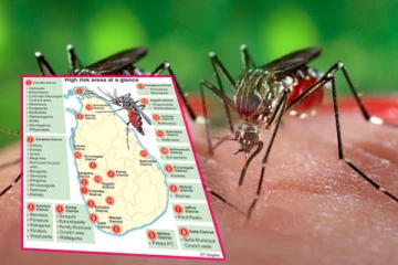 நாட்டில் பதிவான டெங்கு மரணங்கள்: பொதுமக்களுக்கு விடுக்கப்பட்டுள்ள எச்சரிக்கை
