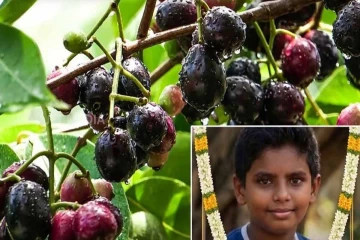 நாவல் பழத்தில் பாம்பின் விஷமா? சிறுவனின் உயிரை பறித்தது எது? மருத்துவர் பரூக் அப்துல்லா