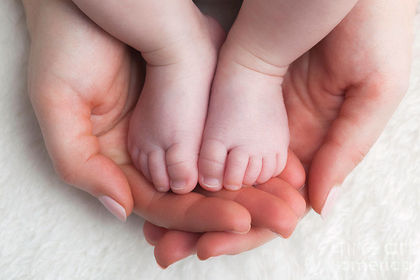 யாழில் பிறந்து 42 நாட்களேயான சிசு மரணம் | 42 Day Old Baby Dies
