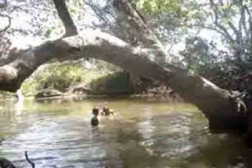 விளையாடிக் கொண்டிருந்த இரு சிறுவர்களுக்கு நேர்ந்த நிலை