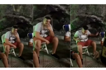 போட்டோவுக்கு போஸ் கொடுத்தவர் தலையில் விழுந்த நீண்ட பாம்பு - அடுத்து நடந்தது என்ன? பதற வைக்கும் வீடியோ