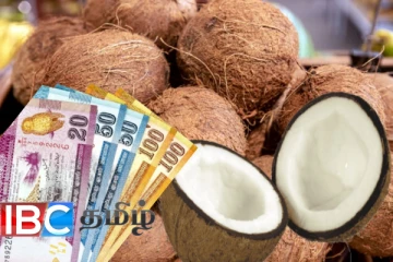 இலங்கையில் பாதி தேங்காய் ஒன்றின் விலை எவ்வளவு தெரியுமா...!