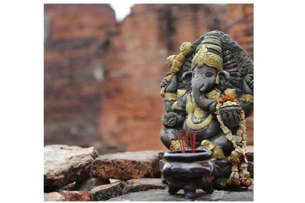 சிறுத்தையை பிடிக்க விநாயகருக்கு சிறப்பு பூஜை! | A Special Pooja To Ganesha To Catch The Leopard