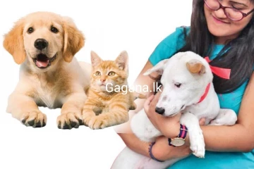 සුරතල් සතුන් දින 14ක් යනතුරු ලඟට ගන්න එපා..මහ ජනතාවට විශේෂ දැනුම්දීමක්..