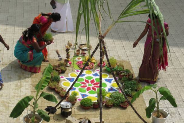 இந்த நேரத்தில் பொங்கலை வையுங்கள்: மகிழ்ச்சியும் செல்வமும் வந்து சேரும்! | Thai Pongal Festival Brings Happiness And Wealth