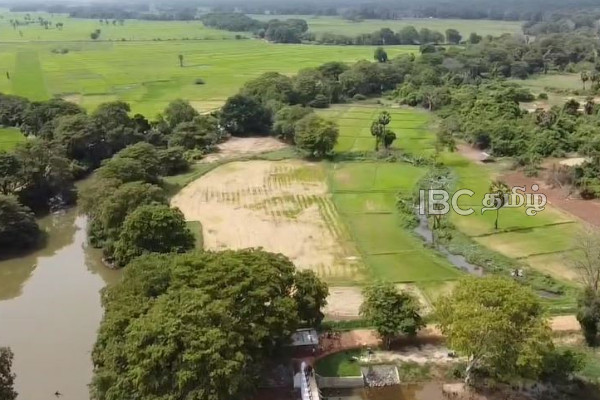 புதுக்குடியிருப்பில் உலக வங்கியின் நிதி உதவியில் அமைக்கப்பட்ட அணைக்கட்டு | World Bank Financial Assistance In Pudukkudiyurupu